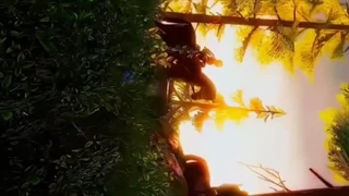 میکس از گیم TLOU2