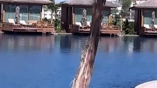 نمونه پروژه های زیبا در قبرس.