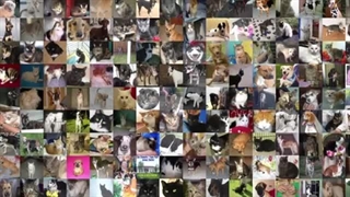 پدرخوانده هوش مصنوعی نوبل را برای کاری که فکر می‌کند؛ بشریت را تهدید می‌کند، دریافت کرد