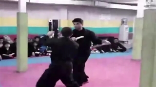 استاد حمید احرامیان پور