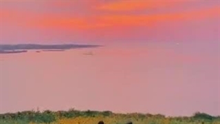 روزتون مبارک دخترااااااا♥️♥️♥️