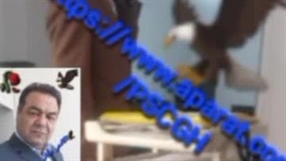 دکتر فرزانه و شاخص از موجودی خزانه اندودنتیکس