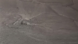 اخبار خودرو