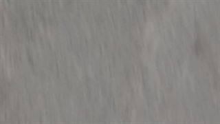 اخبار خودرو