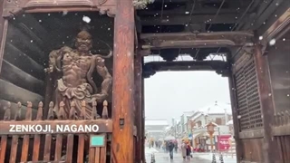 راهنمای سفر به ژاپن