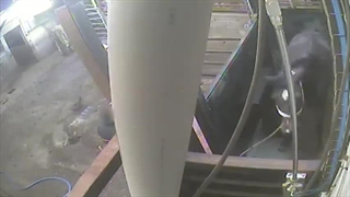 کشتار گاه حیوانات اسب