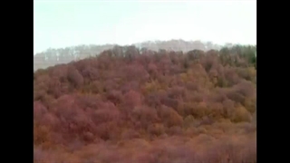 شاهدان هزارساله - روستا انلاین