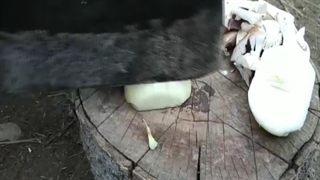 زندگی در روستا - روستا انلاین