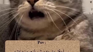 وضعیت پسرها