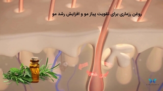 بهترین روغن گیاهی برای پرپشت شدن مو