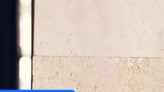 خرید سنگ ساختمانی استخوانی