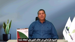 معرفی کود آهن 6%