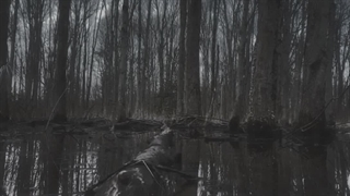 آهنگ الان داغی نمیفهمی چی سرت اومده