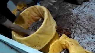 مارا تکه تکه کردن سر برای خوردن