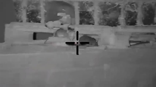 شکار موش توسط شکارچی