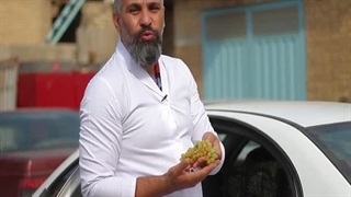 دستگاه خشک کن انگور، مویز، کشمش اسوه صنعت 09138900047