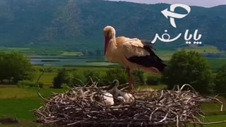 ماجراجویی در کردستان: تجربه‌ای فراموش‌نشدنی در دل کوه‌ها و جنگل‌ها