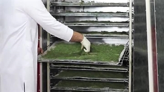 دستگاه خشک کن صنعتی شوید اسوه صنعت 09138900047