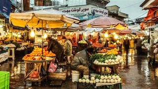 هاک ویژن رشت