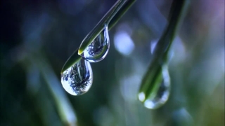 تولد شگفت انگیز طبیعت