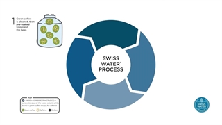 کافئین زدایی قهوه به روش سوئیس واتر