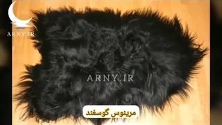 نمونه پوست های جذاب در دکوراسیون منزل، شرکت و دفتر کار