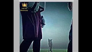 دانلود رایگان سریال گرگ نوجوان در شاه انیمه