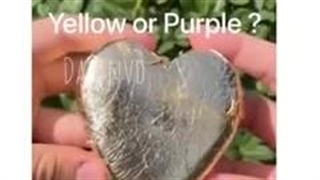 دوتاشو درست حدس زدم