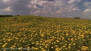 علوم تجربی ششم دبستان | درس دوم: سرگذشت دفتر من | قاصدک