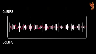 what is Clipping English