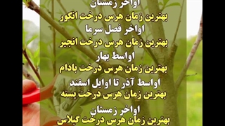 بهترین زمان هرس درختان