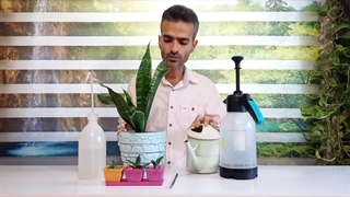 روشهای آبیاری گیاهان آپارتمانی