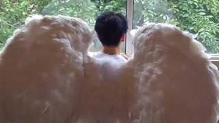 چوی سوبین واقعا فرشته‌ی بوسیدنی خودمه:))))فوتوکانسپت سوبین برای آلبوم The Star Chapter:Sanctuaryورژن Angel^^