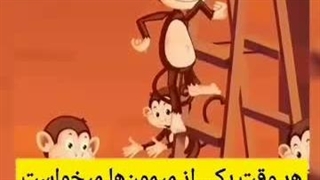 بررسی میمون ها