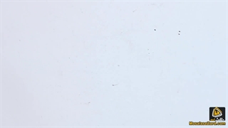 نحوه عملکرد رله ضربه یا استپ رله - اجزای داخلی رله ضربه