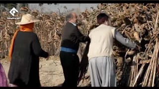 دانلود رایگان سریال نون خ