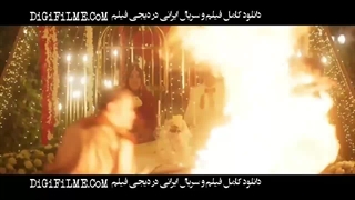 سال گربه - ویکی‌پدیا، دانشنامهٔ آزاد