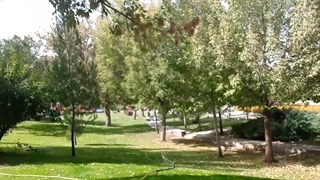 چالش فواره با کیان آرتیست