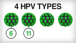 آنچه در مورد پاپیلوما ویروس لازم است بدانید.