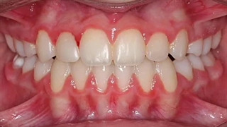 دکتر احمد شیبانی نیا