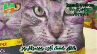 غذای خشک گربه جو سرانیچر