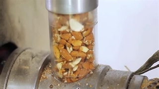 روغن گیری از بادام با دستگاه روغن گیر پرس سرد اسوه 09138900047