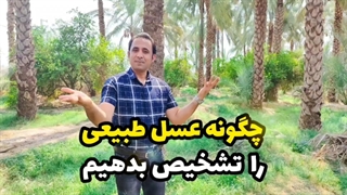 بررسی 4 روش تشخیص عسل طبیعی از تقلبی!!! + راهکار قطعی تشخیص