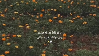 از تو فقط یه دونه هست پس مواظب خودت باش:)) ^^