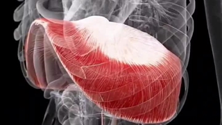 علوم تجربی پنجم دبستان | درس پنجم: حرکت بدن | حرکت بدن