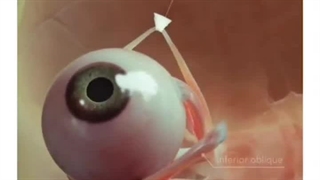 علوم تجربی پنجم دبستان | درس ششم: چه خبر؟ (1) | چشم