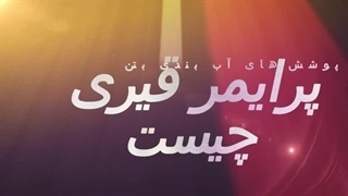 پرایمر پایه قیری چیست