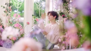 ویدیو تبلیغ هائو برای برند Kustie