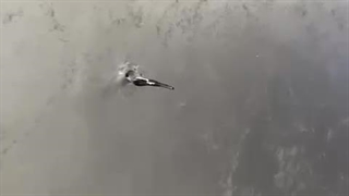 اجرای بافت سواحلی(شن و ماسه ای) روی دیوار