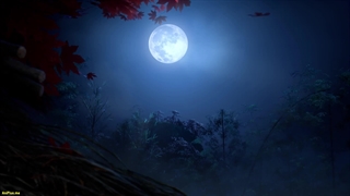 انیمه مسیری به سوی آسمان (The Path Toward Heaven (Dadao Chaotian قسمت 2